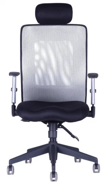 OFFICE PRO kancelárska stolička CALYPSO XL s opierkou hlavy P4, šedá
