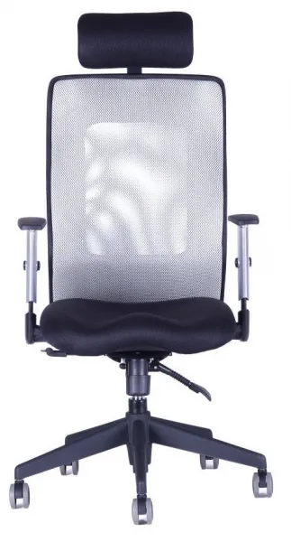 OFFICE PRO Kancelárska stolička CALYPSO GRAND s opierkou hlavy P1, šedá