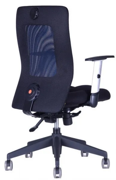 OFFICE PRO Ergonomická kancelárska stolička CALYPSO XL bez opierky hlavy, modrá