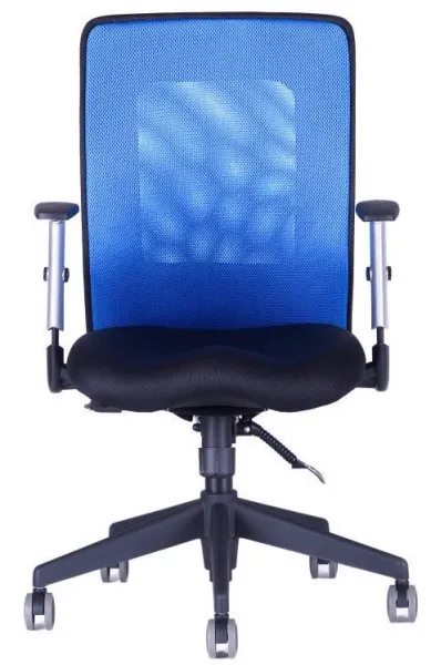 OFFICE PRO Ergonomická kancelárska stolička CALYPSO XL bez opierky hlavy, modrá