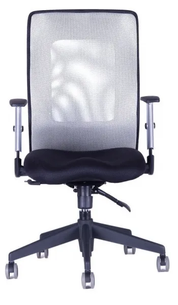 OFFICE PRO Ergonomická kancelárska stolička CALYPSO GRAND sivá