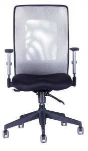 OFFICE PRO Ergonomická kancelárska stolička CALYPSO GRAND sivá