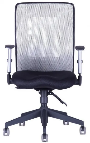 OFFICE PRO kancelárska stolička CALYPSO XL bez opierky hlavy, šedá