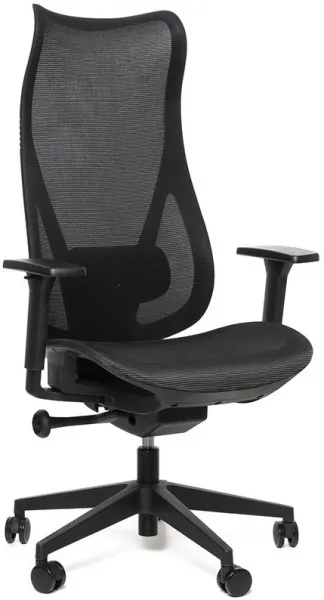 SEGO Kancelárska stolička HARMONY, ergonomická