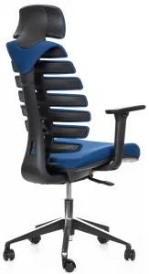 MERCURY Ergonomická kancelárska stolička FISH BONES s opierkou hlavy, čierny plast, 26-67 modrá, 3D podrúčky