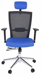 KAPA Ergonomická stolička MARIKA modrá