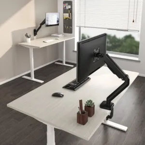 PALA Držiak monitora Brateck LDT46-C012E, 1 rameno mechanická pružina