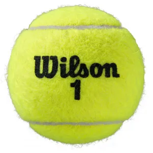 Wilson ROLAND GARROS ALL COURT 3 BALL Tenisové loptičky, reflexný neón, veľkosť