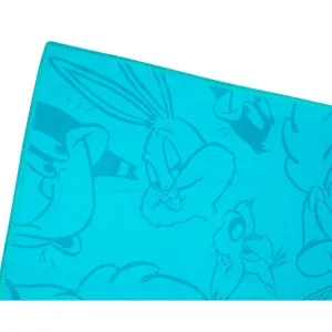 Warner Bros DAFFY 80 x 130 Rýchloschnúci športový uterák, svetlomodrá, veľkosť