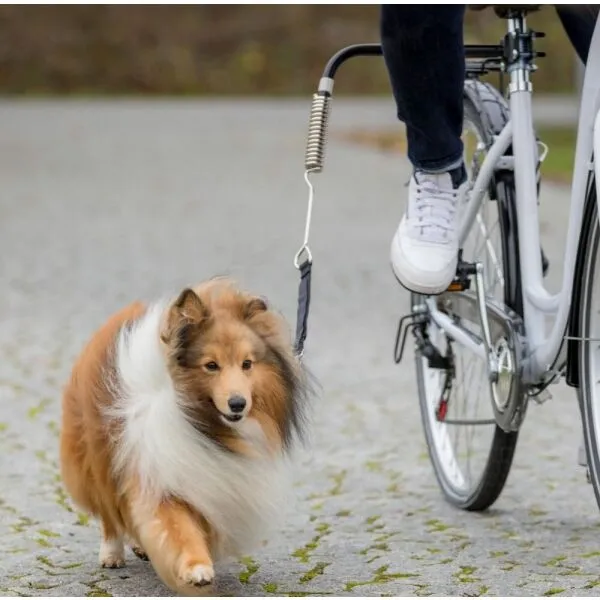 TRIXIE DOG BIKE SET DE LUXE S-M Vodiaci komplet na bicykel, čierna, veľkosť