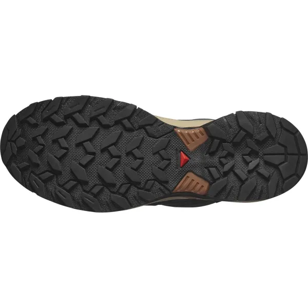 Turistické topánky Salomon X Ultra 360 GTX - rock/black/spicy