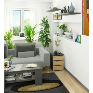 Ak furniture Komoda CL3 40 cm grafitově šedá/dub artisan