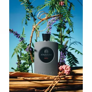 Atkinsons James parfumovaná voda pre mužov 100 ml