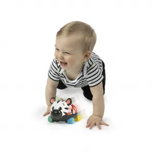 OBALL Autíčko a hrkálka 2v1 Curious Car zebra Zen™ 3m+