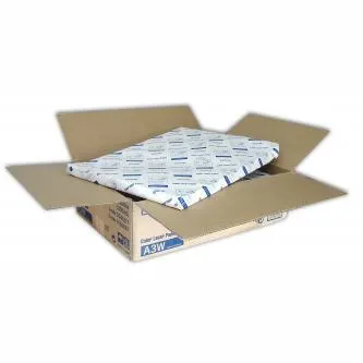 Epson Color Laser Paper S041217 C13S041217, 33x48cm, A3+, 1250ks, laserový, biely, foto papier