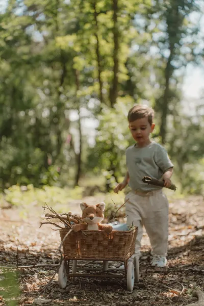 LITTLE DUTCH - Líška plyšová Forest Friends