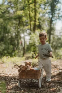 LITTLE DUTCH - Líška plyšová Forest Friends