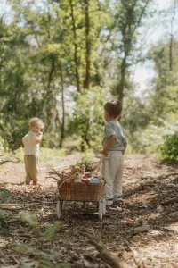 LITTLE DUTCH - Líška plyšová Forest Friends