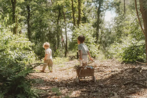LITTLE DUTCH - Líška plyšová Forest Friends