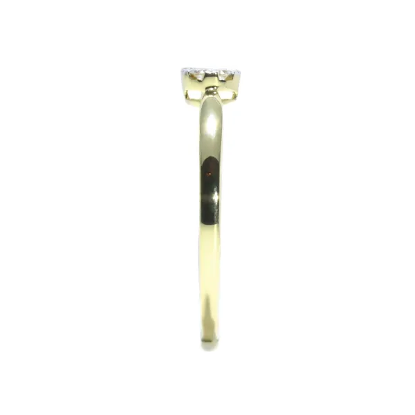 Blink-Blink Jedinečný diamantový prsteň 0.10 ct1432ZDG0.10