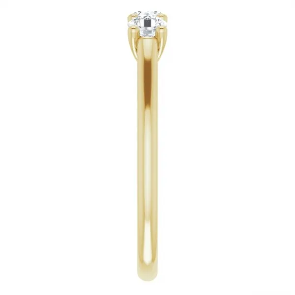 Blink-Blink Výročný diamantový prsteň 0.51 ct1864ZDZS