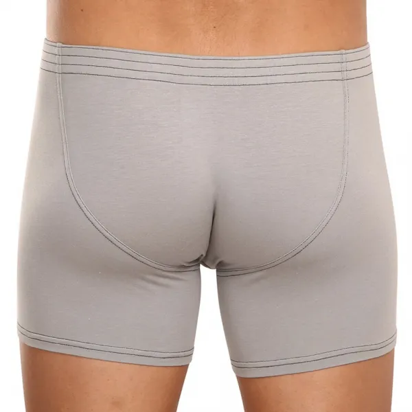 Pánske boxerky Styx long klasická guma svetlo sivé (F1062) M, trenky