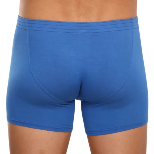 Pánske boxerky Styx long klasická guma modré (F967) S, trenky