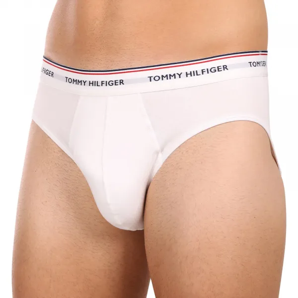 3PACK pánske slipy Tommy Hilfiger viacfarebné (1U87903766 004) M