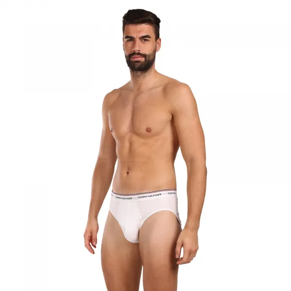 3PACK pánske slipy Tommy Hilfiger viacfarebné (1U87903766 004) M