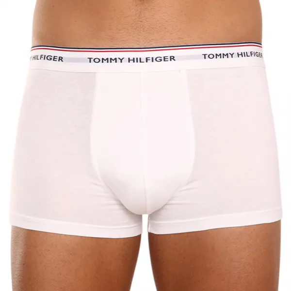 3PACK pánske boxerky Tommy Hilfiger viacfarebné (1U87903841 004) M, trenky