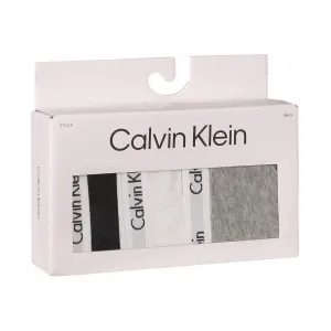 3PACK dámske nohavičky Calvin Klein viacfarebné (QD3588E-999) M