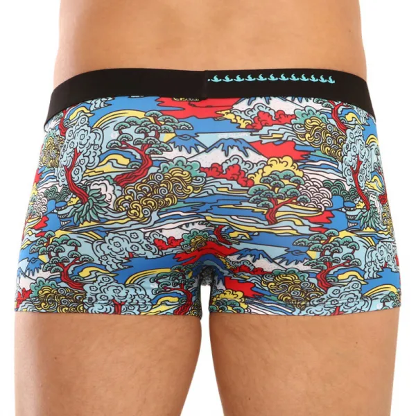 Pánske boxerky 69SLAM hip japanese view (MSYJPE-PO) S, trenky