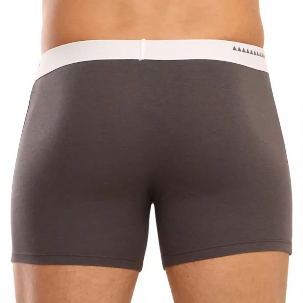 Pánske boxerky 69SLAM fit bamboo plain (MBWPLN-DG) M, trenky