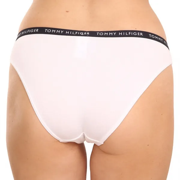 3PACK dámske nohavičky Tommy Hilfiger viacfarebné (UW0UW02828 0TF) M
