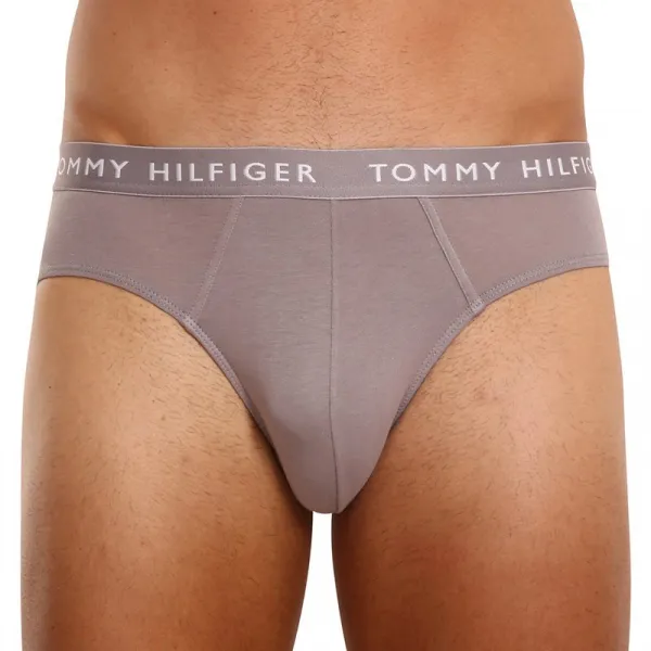 3PACK pánske slipy Tommy Hilfiger viacfarebné (UM0UM02206 0TG) M