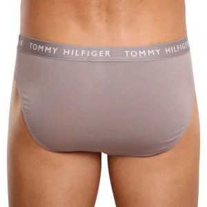 3PACK pánske slipy Tommy Hilfiger viacfarebné (UM0UM02206 0TG) M