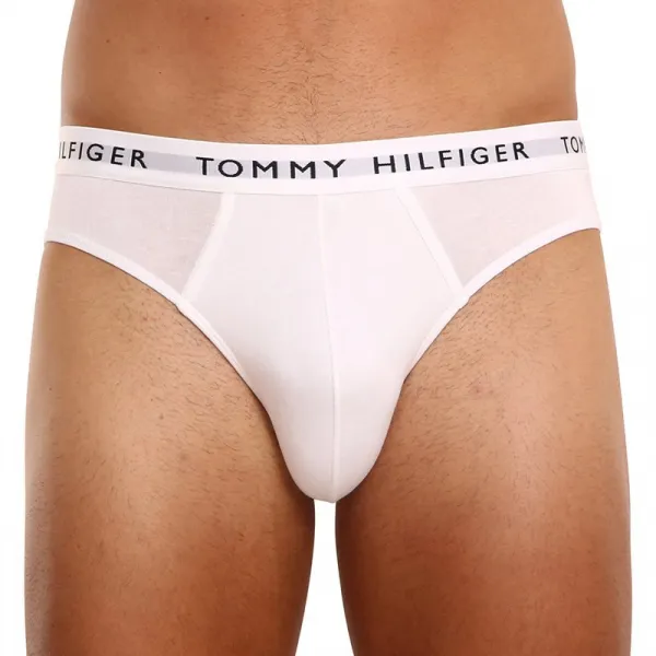 3PACK pánske slipy Tommy Hilfiger viacfarebné (UM0UM02206 0TG) M