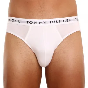 3PACK pánske slipy Tommy Hilfiger viacfarebné (UM0UM02206 0TG) M