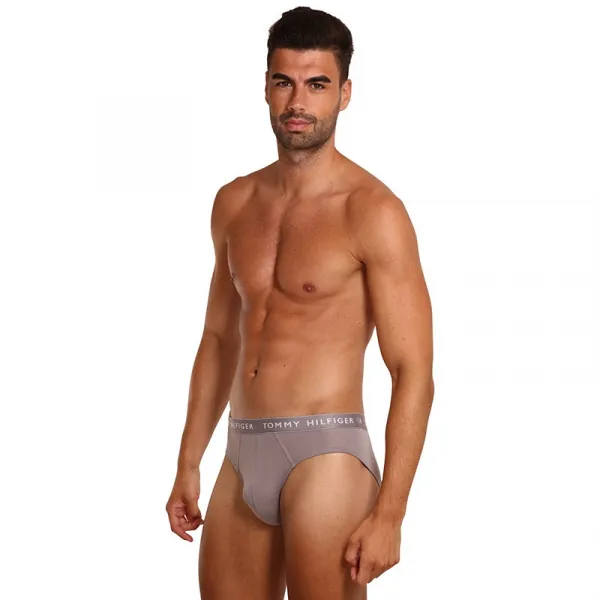 3PACK pánske slipy Tommy Hilfiger viacfarebné (UM0UM02206 0TG) M
