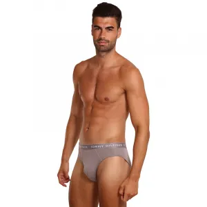 3PACK pánske slipy Tommy Hilfiger viacfarebné (UM0UM02206 0TG) M