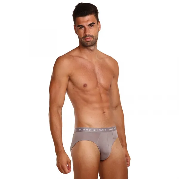 3PACK pánske slipy Tommy Hilfiger viacfarebné (UM0UM02206 0TG) M