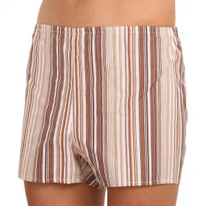 Klasické pánske trenky Foltýn hnedeé s prúžkami extra nadrozmer 9XL, trenírky