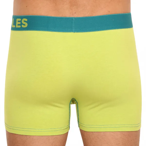 Pánske boxerky Dedoles zelené (D-M-UN-T-B-C-1616) M, trenky