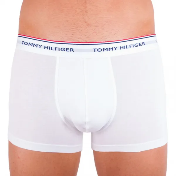 3PACK pánske boxerky Tommy Hilfiger viacfarebné nadrozmer (1U87905252 004) 4XL, trenky