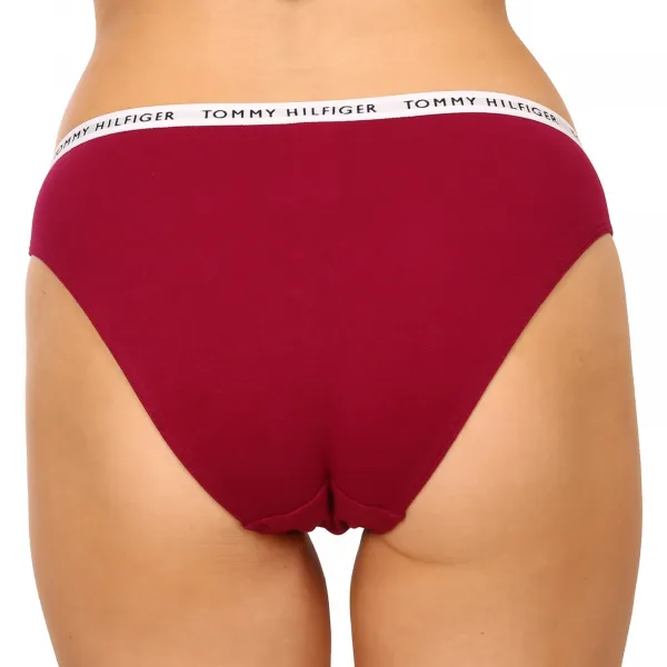 3PACK dámske nohavičky Tommy Hilfiger viacfarebné (UW0UW02828 0XH) S