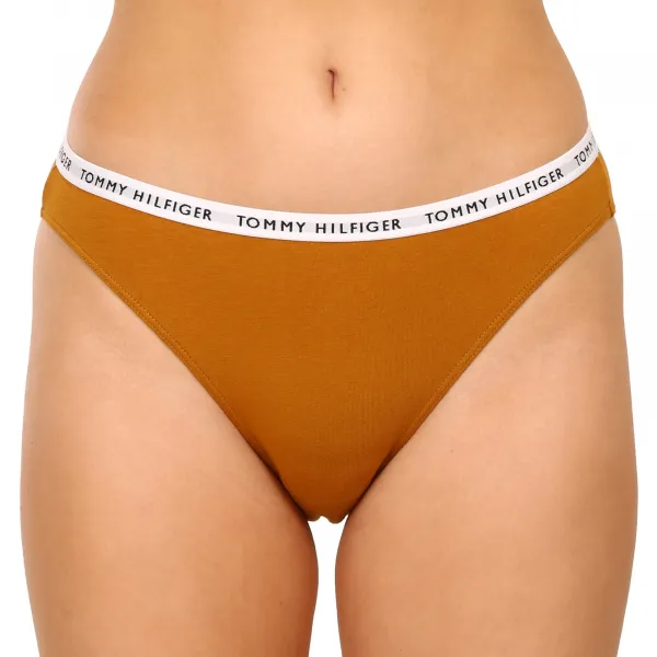3PACK dámske nohavičky Tommy Hilfiger viacfarebné (UW0UW02828 0XH) S