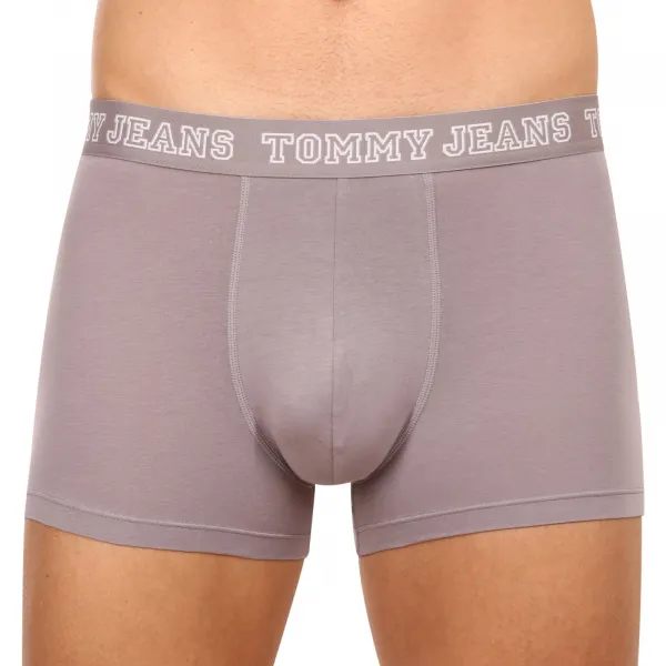 3PACK pánske boxerky Tommy Hilfiger viacfarebné (UM0UM02850 0T9) L, trenky