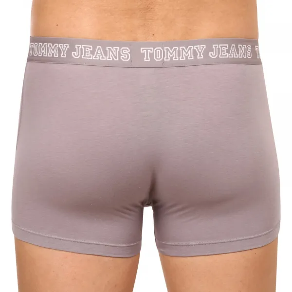 3PACK pánske boxerky Tommy Hilfiger viacfarebné (UM0UM02850 0T9) L, trenky