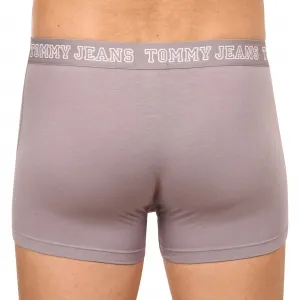 3PACK pánske boxerky Tommy Hilfiger viacfarebné (UM0UM02850 0T9) L, trenky