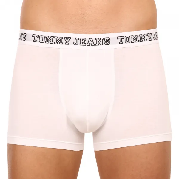 3PACK pánske boxerky Tommy Hilfiger viacfarebné (UM0UM02850 0T9) L, trenky